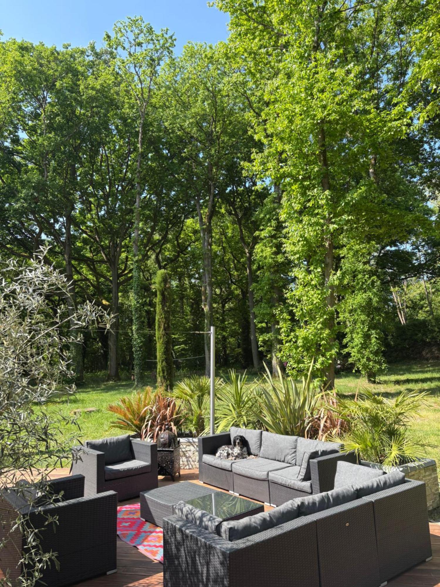Somptueuse Villa D'Architecte Rochefort-en-Yvelines Ngoại thất bức ảnh